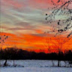 Meet your Posher, Claire